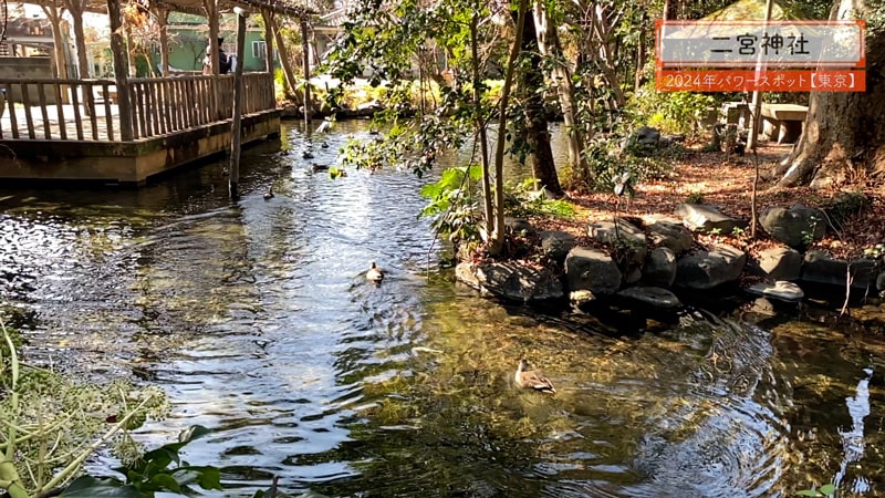 二宮神社のお池