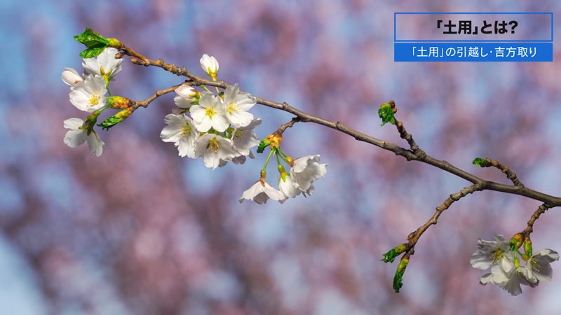 季節の変化と桜