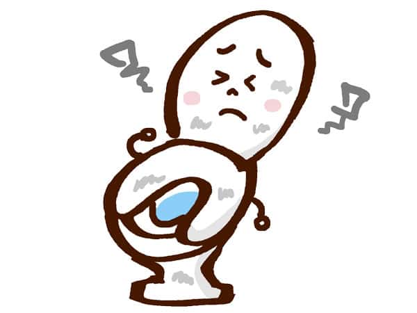 古いトイレのイメージ